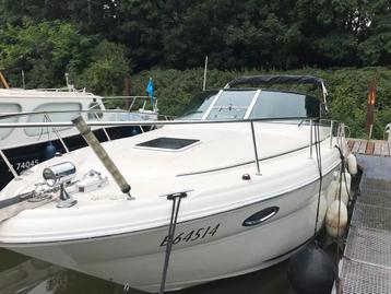 Sea Ray 315, bouwjaar 2004, 6 mètres ou plus, 200 ch ou plus, Enlèvement, Utilisé