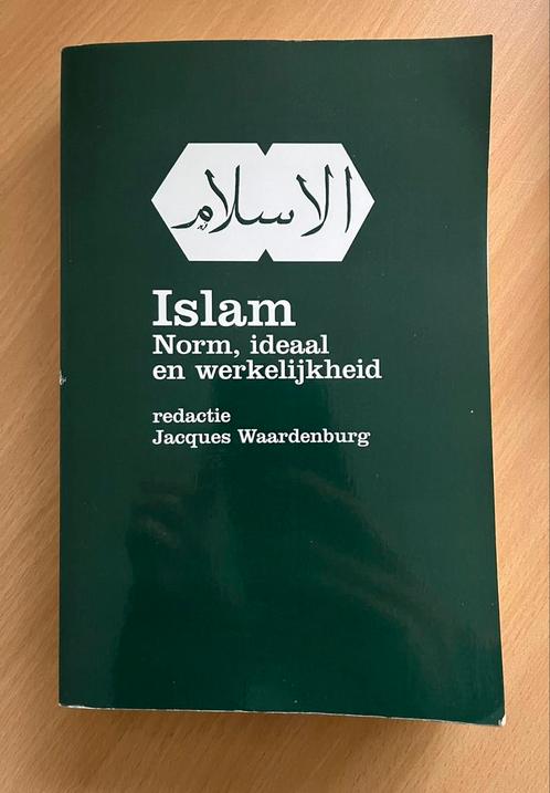 Jacques Waardenburg - Islam, norm ideaal en werkelijkheid, Livres, Religion & Théologie, Comme neuf, Islam, Enlèvement ou Envoi