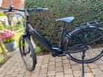 El fiets Giant, Fietsen en Brommers, Ophalen, Zo goed als nieuw, Giant