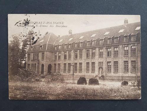 Postkaart Brasschaat Brasschaet Polygone Bruyères, Verzamelen, Postkaarten | België, Gelopen, Antwerpen, 1920 tot 1940, Ophalen of Verzenden