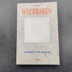 Jezusboek voor jongeren bijbel, Gelezen, Christendom | Katholiek, Ophalen of Verzenden, Noël Bonte