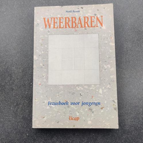 Jezusboek voor jongeren bijbel, Boeken, Godsdienst en Theologie, Gelezen, Christendom | Katholiek, Ophalen of Verzenden