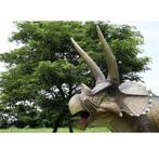 Giant Triceratops – Dinosaurus beeld Lengte 623 cm, Ophalen, Nieuw