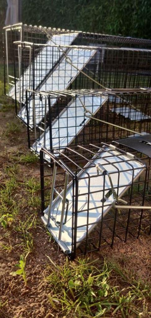 PIÈGE À PIES PIÈGE À PIGEONS PIÈGE À CHATS -35, Animaux & Accessoires, Oiseaux | Cages & Volières, Neuf, Métal, Enlèvement ou Envoi