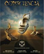 Tomorrowland 1 place VIP pour le vendredi 24/7, Tickets & Billets, Une personne