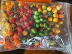 Prachtig klein kunstfruit, mooi a doopsuikerdoosjes… hobby…, Ophalen of Verzenden