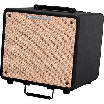 Ampli Ibanez Troubadour T80, Enlèvement, Utilisé