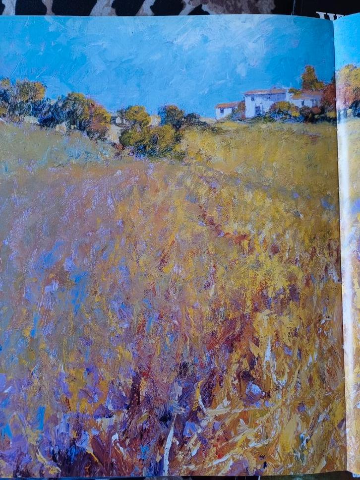 KUNSTBOEK "Spelen met licht in acryl", Boeken, Kunst en Cultuur | Beeldend, Zo goed als nieuw, Schilder- en Tekenkunst, Ophalen of Verzenden