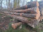 brandhout, Tuin en Terras, Ophalen of Verzenden, Stammen