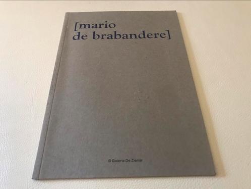 Mario De Brabandere Artistbook 350 exemplaires, Livres, Art & Culture | Arts plastiques, Comme neuf, Peinture et dessin, Enlèvement ou Envoi