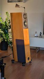 High-End; Audio Physic Virgo 25 (jubileum uitvoering), Zo goed als nieuw, 60 tot 120 watt, Front, Rear of Stereo speakers, Ophalen