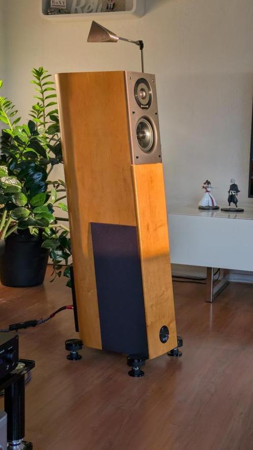 High-End; Audio Physic Virgo 25 (jubileum uitvoering), Audio, Tv en Foto, Luidsprekerboxen, Zo goed als nieuw, Front, Rear of Stereo speakers