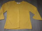 Dikke meisjes gilet. Maat 140, Ophalen of Verzenden, Zo goed als nieuw, Meisje, Trui of Vest
