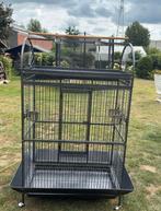 Papegaai kooi, Dieren en Toebehoren, Ophalen of Verzenden, Zo goed als nieuw, Vogelkooi