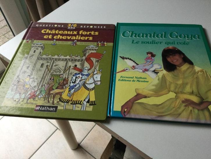 VRAGEN & ANTWOORDEN „CHATEAUX-CHEVALIERS"+CHANTAL GOYA GRATI, Boeken, Kinderboeken | Kleuters, Gelezen, Non-fictie, 4 jaar, Jongen of Meisje