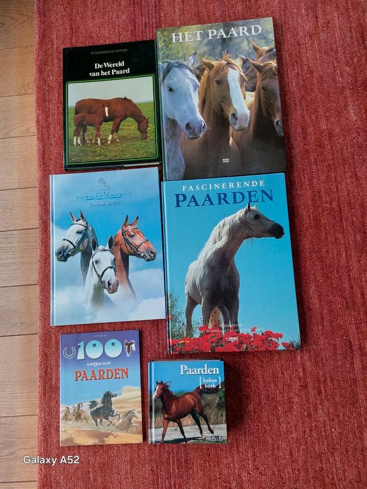 6 boeken voor de paardenliefhebber (foto's, informatie), Livres, Animaux & Animaux domestiques, Neuf, Chevaux ou Poneys, Enlèvement ou Envoi