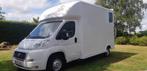 HORSE TRUCK  FIAT DUCATO 2011 105000KM 2300CC  AIRCO NIEUWE, Dieren en Toebehoren, Ophalen