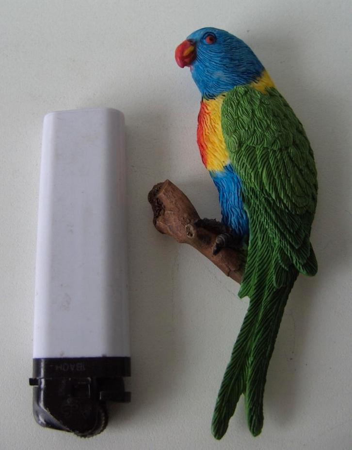 MAGNEETJES GROTE PAPAGAAI LORI 24 STUKS NIEUW, Dieren en Toebehoren, Vogels | Parkieten en Papegaaien, Papegaai