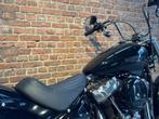 Harley-Davidson Chopper Softail Standard FXST, 1745 cc, Bedrijf, Meer dan 35 kW, Overig