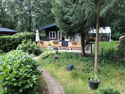 Vakantie Bos Huisje., Vakantie, Vakantiehuizen | Nederland, Limburg, Chalet, Bungalow of Caravan, Recreatiepark, In bos, 2 slaapkamers