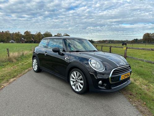 MINI One 1.2 Chili 'Hot Chocolate' '14 Pano Navi Leder, Autos, Mini, Entreprise, Achat, One, Air conditionné, Ordinateur de bord