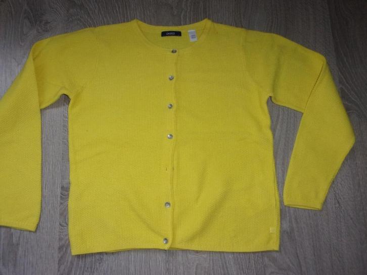 SPLINTERNIEUW meisjes gilet. Maat 140., Kinderen en Baby's, Kinderkleding | Maat 140, Nieuw, Meisje, Trui of Vest, Ophalen of Verzenden