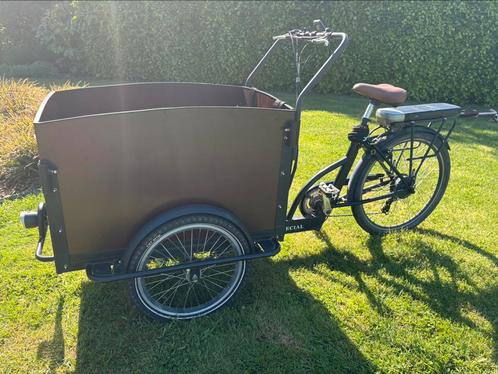 Elektrische bakfiets Troy – vernieuwde bak + accesoires, Fietsen en Brommers, Fietsen | Bakfietsen, Gebruikt, Overige merken, 2 kinderen