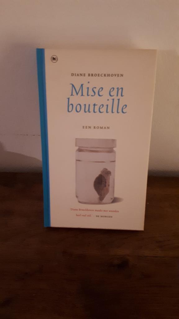 Diane Broeckhoven - Masse et bouteille, Livres, Littérature, Comme neuf, Enlèvement ou Envoi