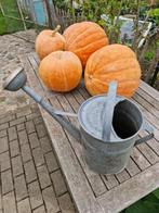 gieter, Tuin en Terras, Gieters, Ophalen