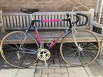 Dancelli nuovo record, 28 inch, Gebruikt, Heren, 57 tot 61 cm