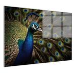 Peinture sur verre Peacock en gros plan 105x70cm + système d, Envoi