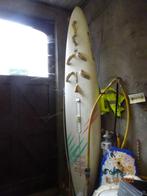 SURF PLANK+ZEIL+KOSTUM, Watersport en Boten, Ophalen of Verzenden