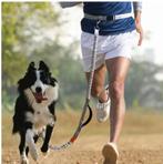 DogRun Leash, Ophalen of Verzenden, Nieuw, Hondenriem