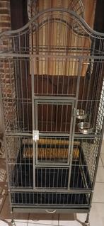 Papegaai kooi, Dieren en Toebehoren, Ophalen