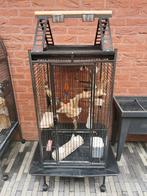 Vogelkooi, Enlèvement, Utilisé, Métal, Cage à oiseaux