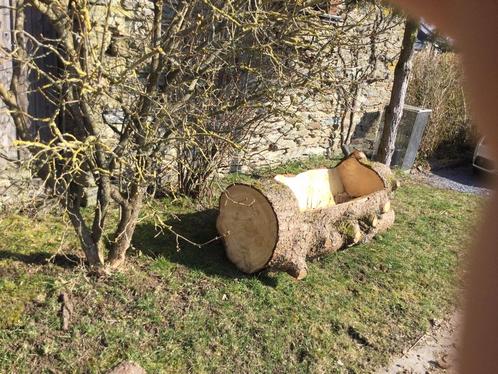 Div.stukken boomstam voor deco of maken tuinmeubels, Tuin en Terras, Overige Tuin en Terras, Ophalen