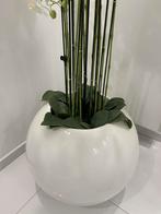 Kunstorchide met bloempot, Tuin en Terras, Ophalen, Zo goed als nieuw, Rond