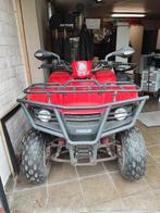 Quad, 1 cilinder, 300 cc, 11 kW of minder