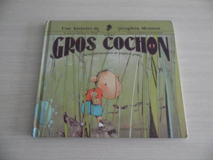 GROS COCHON OU UN JOLI BOUQUET DE PAPIER GRAS, Boeken, Kinderboeken | Kleuters, Zo goed als nieuw, Fictie algemeen, 4 jaar, Jongen of Meisje