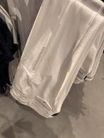 Dressuur broek maat 44, Ophalen of Verzenden, Zo goed als nieuw, Dressuur