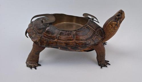 Antieke schildpad asbak rariteit cusiosa en andere taxidermy, Verzamelen, Dierenverzamelingen, Opgezet dier, Wild dier, Ophalen of Verzenden