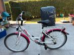 Fiets golden lion 22 inch, Fietsen en Brommers, Ophalen, 22 inch, Gebruikt, Golden Lion