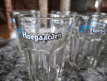 PROEVERTJES HOEGAARDEN beschikbaar voor biedingen