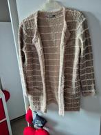 Vest maat 40 42 goede staat, Kleding | Dames, Truien en Vesten, Ophalen of Verzenden, Gedragen, Maat 38/40 (M)