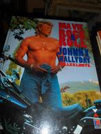 Ma vie Rock & Roll Johnny Hallyday eo ( Gilles Lhote), Livres, Musique, Enlèvement ou Envoi