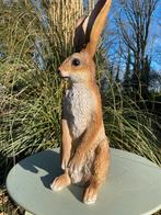 (Tuin)Beeld haas, tuin, konijn, vijver 40cm, Ophalen, Nieuw, Kunststof, Dierenbeeld