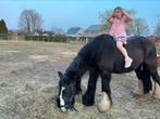 Tinker merrie 17jaar, Dieren en Toebehoren, Paarden, Merrie