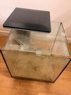 Aquarium, Enlèvement, Comme neuf