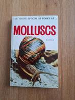 The young specialist looks at Molluscs, Ophalen of Verzenden, Schelp(en)