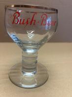 Verre à bière Bush brasserie Dubuisson, Collections, Enlèvement ou Envoi, Comme neuf
